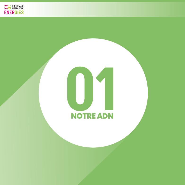 Cas client - Agence Seppa - BME - 3